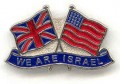 We Are Israel pin