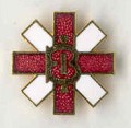 British-Israel pin