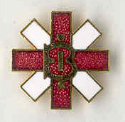 British-Israel pin